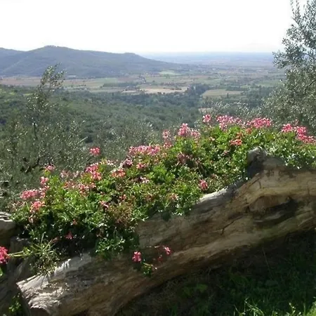 Ferienwohnung Fuer 4 Personen Ca 80 M In Cortona, Toskana Provinz Arezzo Appartamento Cortona